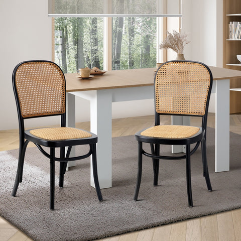 2PCS Dining Chairs Wooden Rattan Black