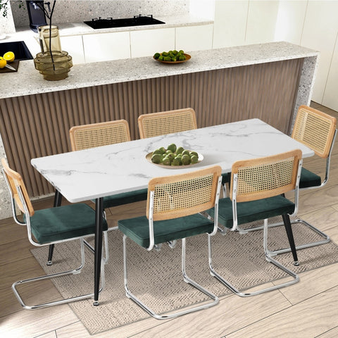 6x Rattan Dining Chair Cesca Replica Cantilever Velvet